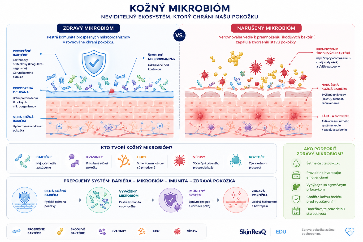 Infografika Kozny mikrobiom